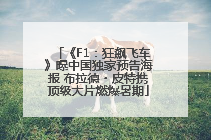 《F1：狂飙飞车》曝中国独家预告海报 布拉德・皮特携顶级大片燃爆暑期