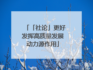 「社论」更好发挥高质量发展动力源作用