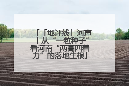 「地评线」河声丨从“一粒种子”看河南“两高四着力”的落地生根