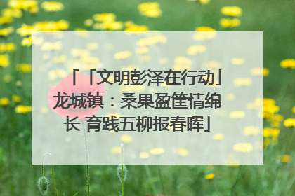 「文明彭泽在行动」龙城镇：桑果盈筐情绵长 育践五柳报春晖
