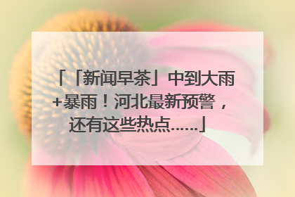 「新闻早茶」中到大雨+暴雨！河北最新预警，还有这些热点……