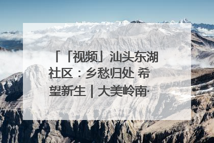 「视频」汕头东湖社区：乡愁归处 希望新生｜大美岭南·百村焕新记