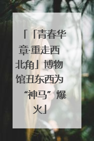 「青春华章·重走西北角」博物馆丑东西为“神马”爆火