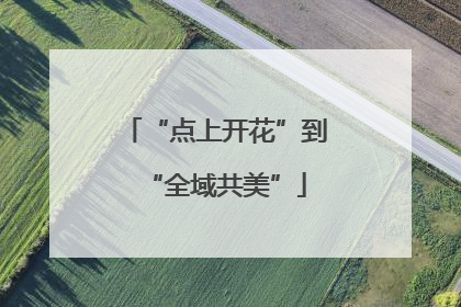 “点上开花”到“全域共美”
