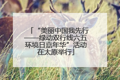 “美丽中国我先行——绿动双行线六五环境日嘉年华”活动在太原举行