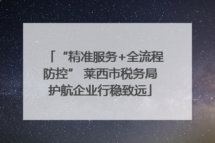 “精准服务+全流程防控” 莱西市税务局护航企业行稳致远
