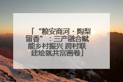 “粮安商河・陶梨留香”：三产融合赋能乡村振兴 跨村联建绘就共富画卷