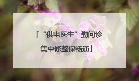 “供电医生”勤问诊 集中修整保畅通