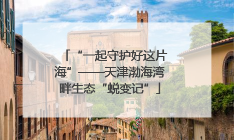 “一起守护好这片海”——天津渤海湾畔生态“蜕变记”