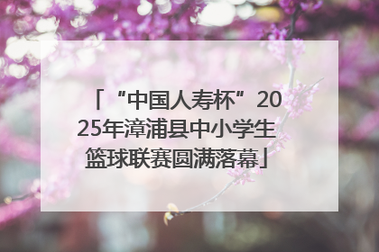 “中国人寿杯”2025年漳浦县中小学生篮球联赛圆满落幕