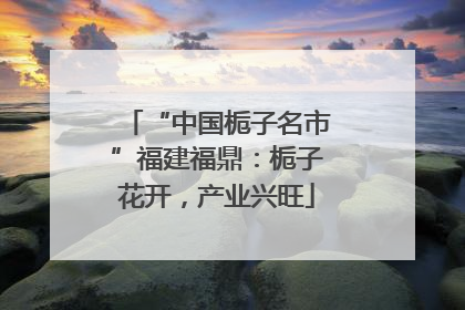 “中国栀子名市”福建福鼎：栀子花开，产业兴旺