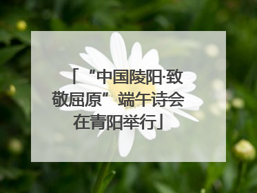 “中国陵阳·致敬屈原”端午诗会在青阳举行
