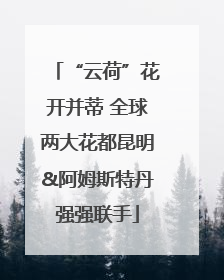 “云荷”花开并蒂 全球两大花都昆明&阿姆斯特丹强强联手