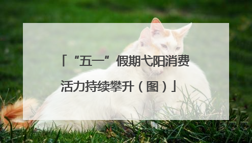 “五一”假期弋阳消费活力持续攀升（图）
