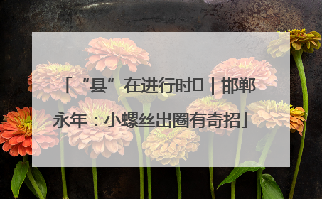 “县”在进行时⑬｜邯郸永年：小螺丝出圈有奇招