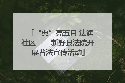 “典”亮五月 法润社区——新野县法院开展普法宣传活动