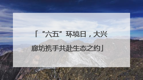 “六五”环境日，大兴廊坊携手共赴生态之约