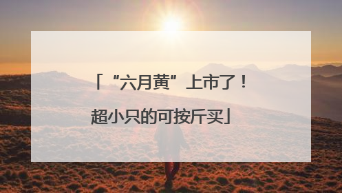 “六月黄”上市了！超小只的可按斤买