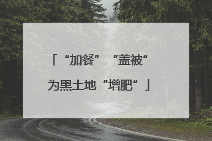 “加餐”“盖被” 为黑土地“增肥”