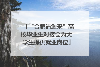 “合肥请您来”高校毕业生对接会为大学生提供就业岗位