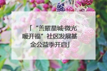 “善耀星城·微光暖开福”社区发展基金公益季开启