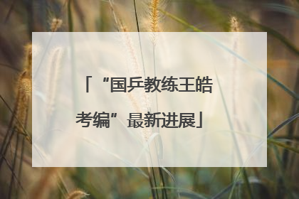 “国乒教练王皓考编”最新进展