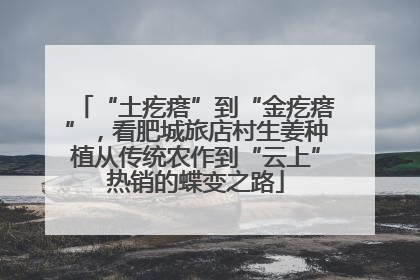 “土疙瘩”到“金疙瘩”，看肥城旅店村生姜种植从传统农作到“云上”热销的蝶变之路