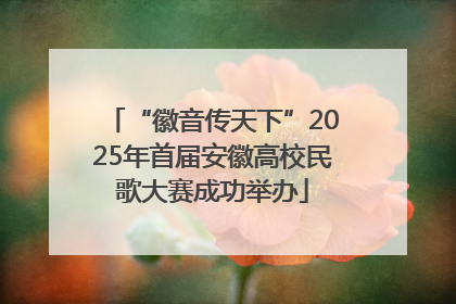 “徽音传天下”2025年首届安徽高校民歌大赛成功举办