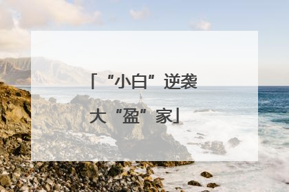 “小白”逆袭大“盈”家