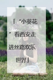 “小葵花”看西安走进丝路欢乐世界