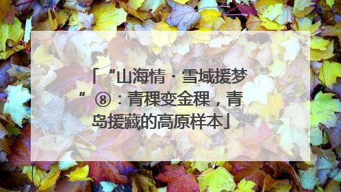 “山海情・雪域援梦”⑧：青稞变金稞，青岛援藏的高原样本