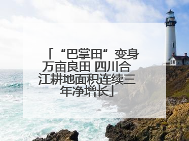 “巴掌田”变身万亩良田 四川合江耕地面积连续三年净增长