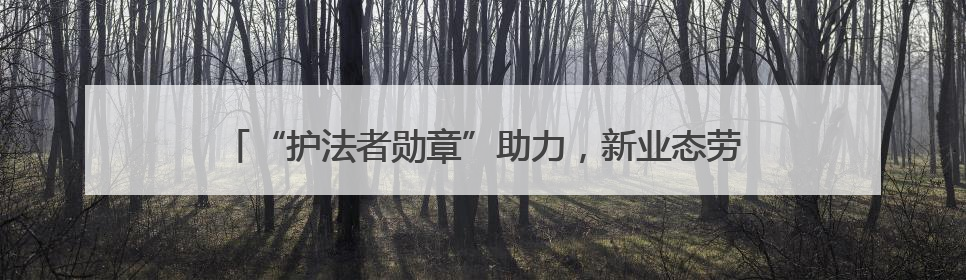 “护法者勋章”助力，新业态劳动者变身社区治理“合伙人”