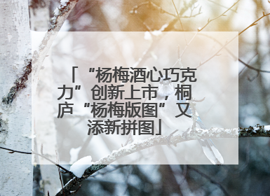 “杨梅酒心巧克力”创新上市，桐庐“杨梅版图”又添新拼图