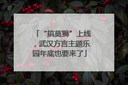 “搞莫狮”上线，武汉方言主题乐园年底也要来了