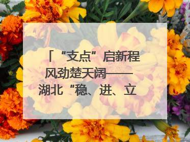 “支点”启新程 风劲楚天阔——湖北“稳、进、立、破”谱写“荆”彩篇章