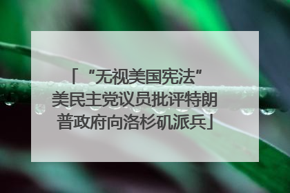 “无视美国宪法” 美民主党议员批评特朗普政府向洛杉矶派兵