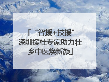 “智援+技援” 深圳援桂专家助力壮乡中医焕新颜