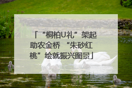 “桐柏U礼”架起助农金桥 “朱砂红桃”绘就振兴图景