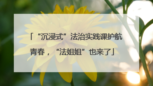 “沉浸式”法治实践课护航青春，“法姐姐”也来了