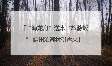 “海龙舟”送来“旅游饭” 儋州泊潮村引客来
