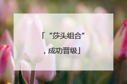 “莎头组合”，成功晋级