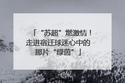 “苏超”燃激情！走进宿迁球迷心中的那片“绿茵”