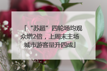 “苏超”四轮场均观众增2倍，上周末主场城市游客量升四成