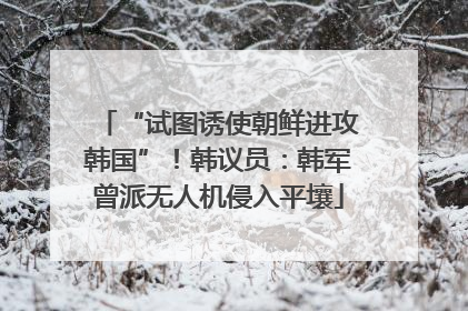 “试图诱使朝鲜进攻韩国”！韩议员：韩军曾派无人机侵入平壤