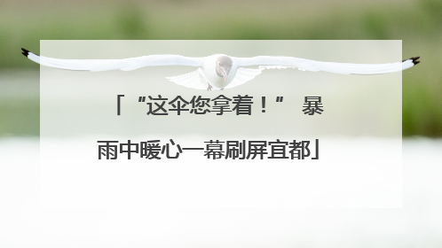 “这伞您拿着！” 暴雨中暖心一幕刷屏宜都
