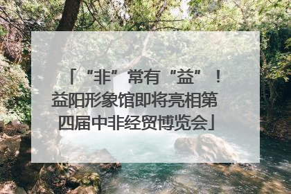 “非”常有“益”！益阳形象馆即将亮相第四届中非经贸博览会