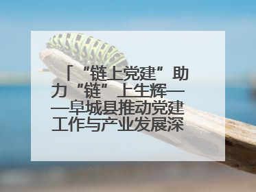 “链上党建”助力“链”上生辉——阜城县推动党建工作与产业发展深度融合