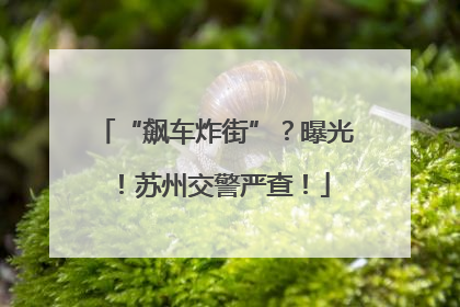 “飙车炸街”？曝光！苏州交警严查！