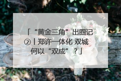 “黄金三角”出圈记②丨郑许一体化 双城何以“双成”？
